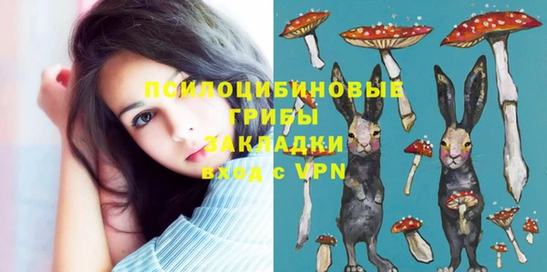 дживик Лихославль