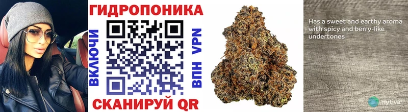 Купить закладки  Ялта  Конопля планчик 